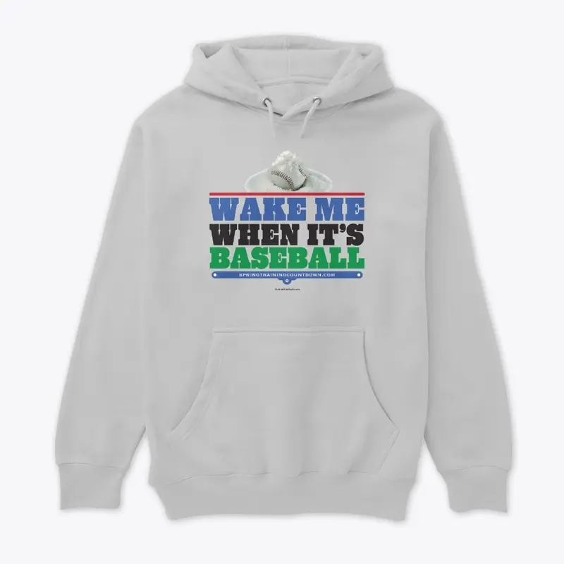 Wake Me When It's Baseball Hoodie